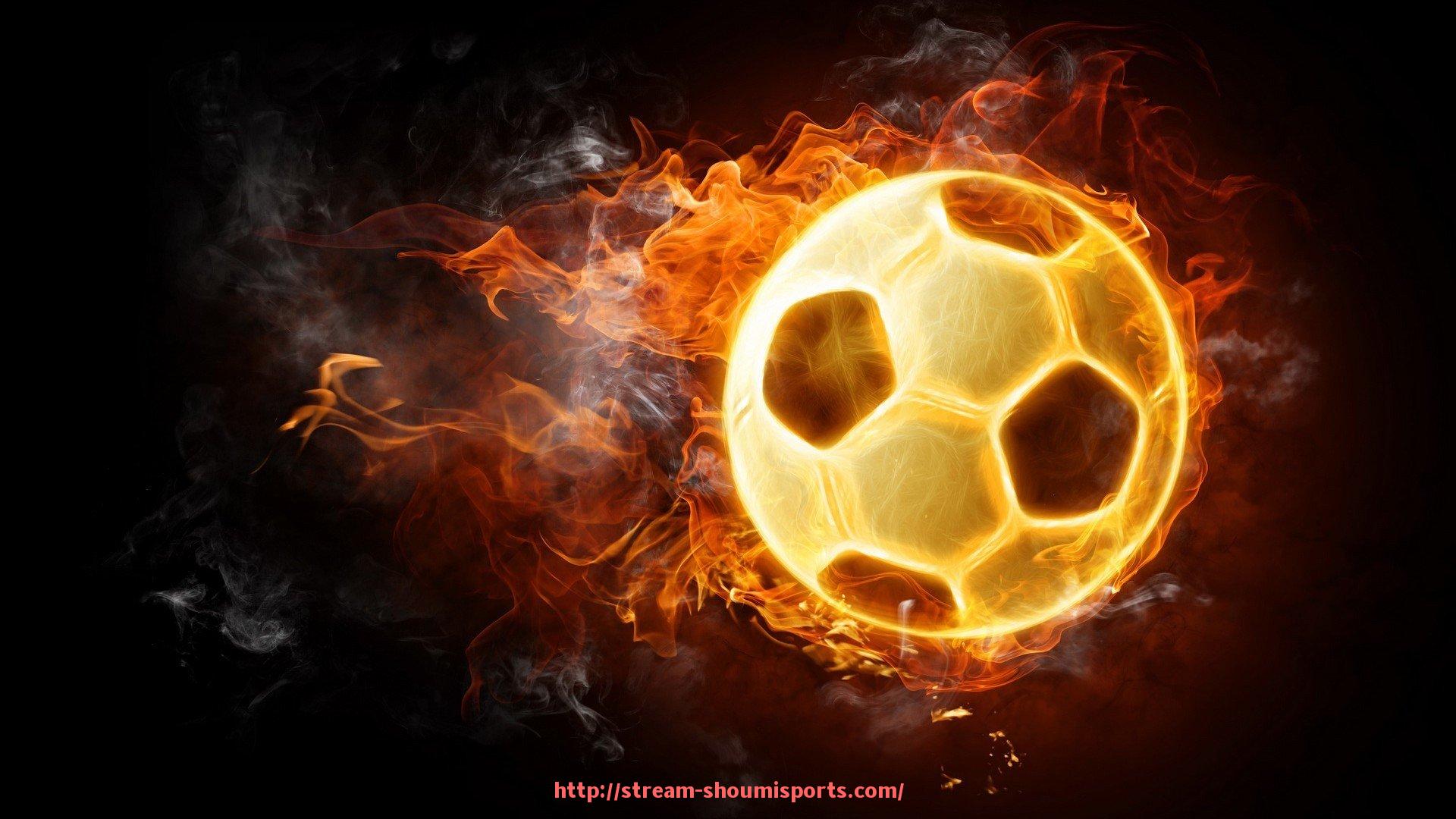 收米体育直播-德甲会员制球队的运作机制及球迷参与情况