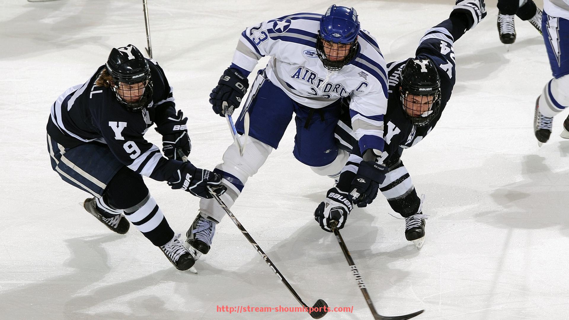 收米体育直播-德甲球队的球迷文化表现在哪些方面，它们如何支持自己的球队（德甲球队别称）